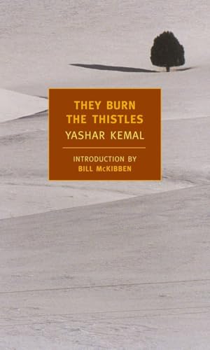 9781590171851: They Burn the Thistles (New York Review Books Classics)