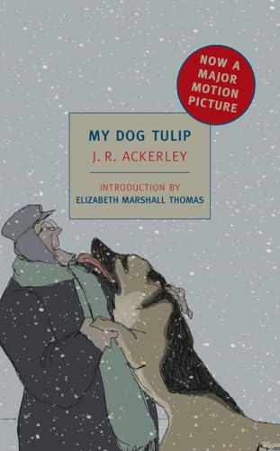 Beispielbild fr MY DOG TULIP zum Verkauf von Magers and Quinn Booksellers