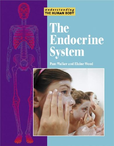 Stock image for Understanding the Human Body - The Endocrine System for sale by Library House Internet Sales