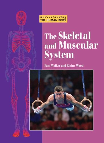 Beispielbild fr Understanding the Human Body - The Skeletal and Muscular System zum Verkauf von More Than Words