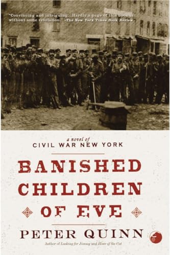 9781590200575: The Banished Children of Eve: A Novel of Civil War New York