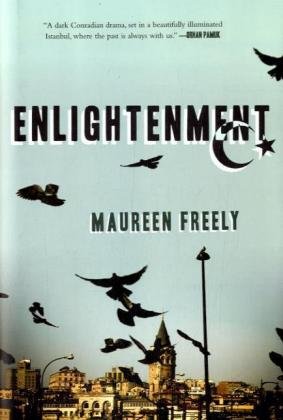 Beispielbild fr Enlightenment : A Novel zum Verkauf von Better World Books