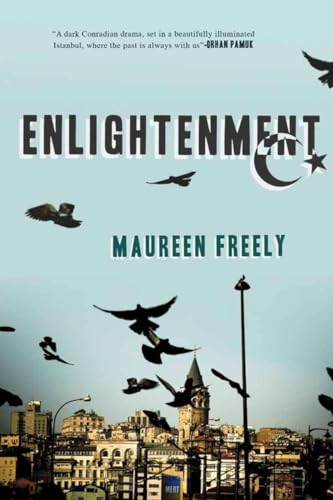 9781590202098: Enlightenment: A Novel