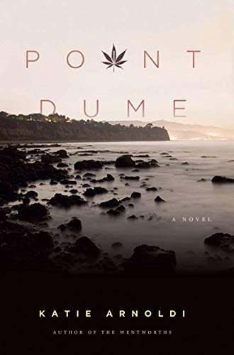 Stock image for Point Dume: A Novel for sale by Ergodebooks