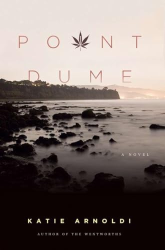 Stock image for Point Dume: A Novel for sale by SecondSale