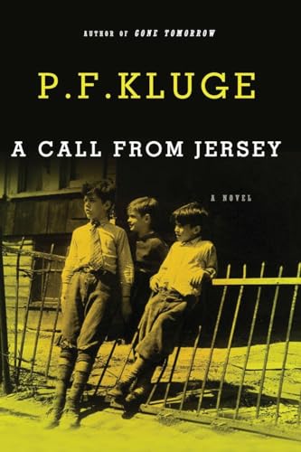 A Call From Jersey: A Novel (9781590206874) by Kluge, P.F.