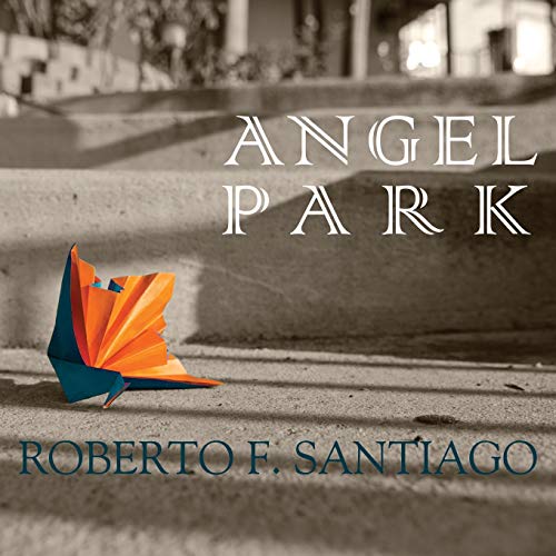 9781590210901: Angel Park