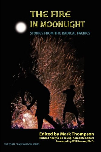 Stock image for The Fire in Moonlight: Stories from the Radical Faeries 1975-2010 for sale by HPB-Emerald