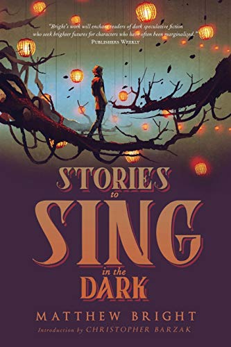 Stock image for Stories to Sing in the Dark for sale by SecondSale