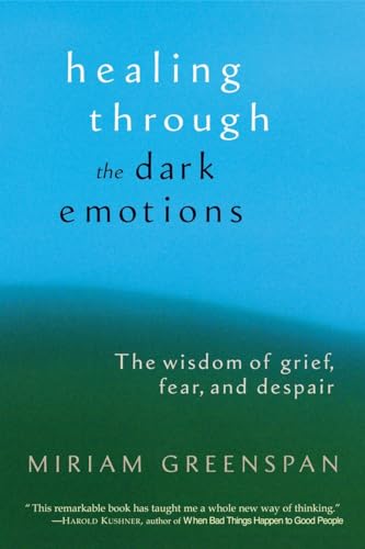 Beispielbild fr Healing through the Dark Emotions: The Wisdom of Grief, Fear, and Despair zum Verkauf von BooksRun