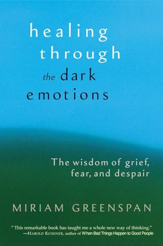 Imagen de archivo de Healing through the Dark Emotions: The Wisdom of Grief, Fear, and Despair a la venta por ZBK Books