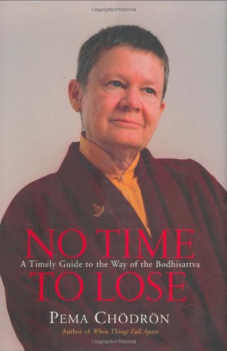 Stock image for No Time to Lose : A Timely Guide to the Way of the Bodhisattva for sale by Better World Books