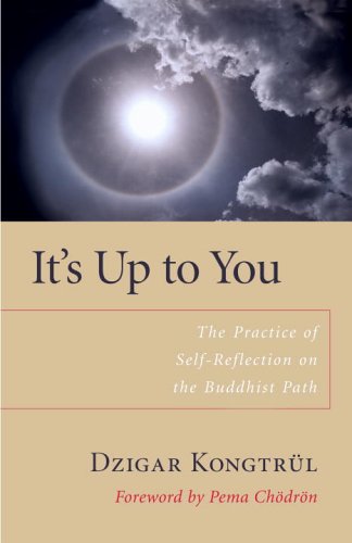 Beispielbild fr Its Up to You: The Practice of Self-Reflection on the Buddhist Path zum Verkauf von Goodwill of Colorado