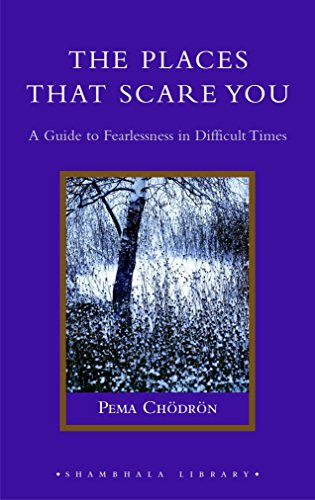 9781590302651: The Places That Scare You: A Guide to Fearlessness in Difficult Times (Shambhala Library)