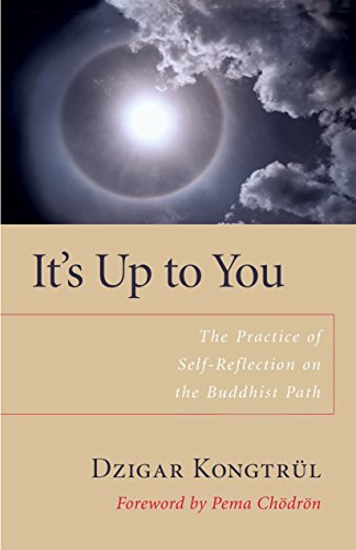 9781590303818: It's Up to You: The Practice of Selfreflection on the Buddhist Path