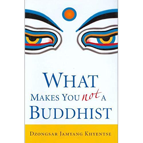 Imagen de archivo de What Makes You Not a Buddhist, 1st Edition a la venta por Goodwill