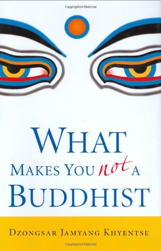 Stock image for What Makes You Not a Buddhist, 1st Edition for sale by Goodwill