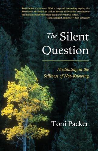 Beispielbild fr The Silent Question : Meditating in the Stillness of Not-Knowing zum Verkauf von Better World Books