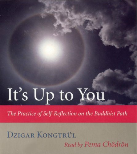 Imagen de archivo de It's Up to You: The Practice of Self-Reflection on the Buddhist Path a la venta por HPB-Movies