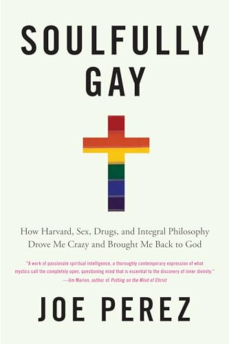 Beispielbild fr Soulfully Gay: How Harvard, Sex, Drugs, and Integral Philosophy Drove Me Crazy and Brought Me Back to God zum Verkauf von medimops
