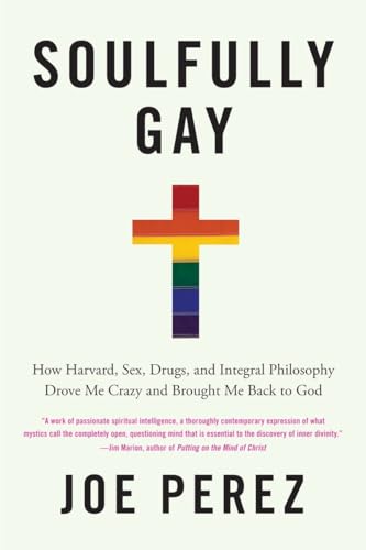 9781590304181: Soulfully Gay: How Harvard, Sex, Drugs, and Integral Philosophy Drove Me Crazy and Brought Me Back to God