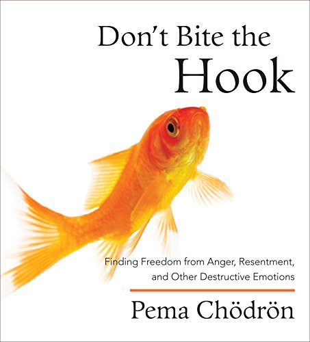 Imagen de archivo de Dont Bite the Hook: Finding Freedom from Anger, Resentment, and Other Destructive Emotions a la venta por Goodwill