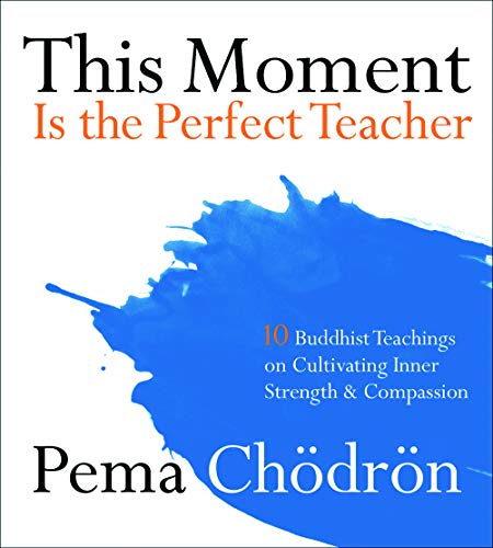Imagen de archivo de This Moment Is the Perfect Teacher: Ten Buddhist Teachings on Cultivating Inner Strength and Compassion a la venta por Book Alley