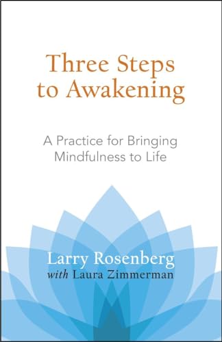 9781590305164: Three Steps to Awakening: A Practice for Bringing Mindfulness to Life