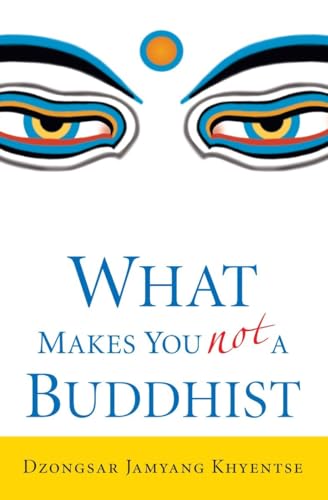 Stock image for What Makes You Not a Buddhist for sale by Goodwill Books