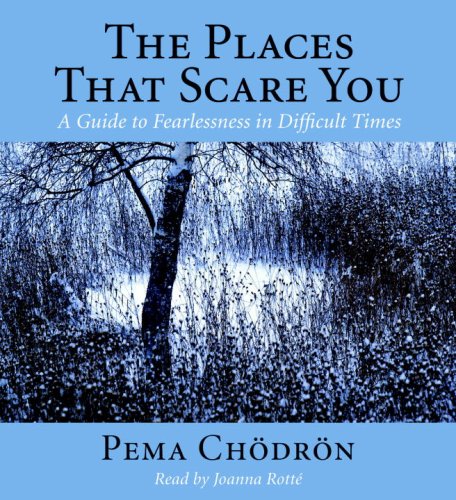 Beispielbild fr The Places That Scare You: A Guide to Fearlessness in Difficult Times zum Verkauf von SecondSale