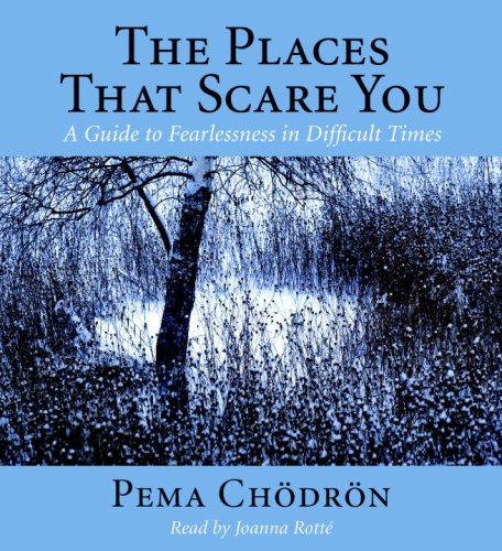 Stock image for The Places That Scare You: A Guide to Fearlessness in Difficult Times for sale by SecondSale