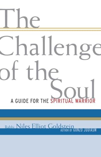 Beispielbild fr The Challenge of the Soul: A Guide for the Spiritual Warrior zum Verkauf von Goodwill Books