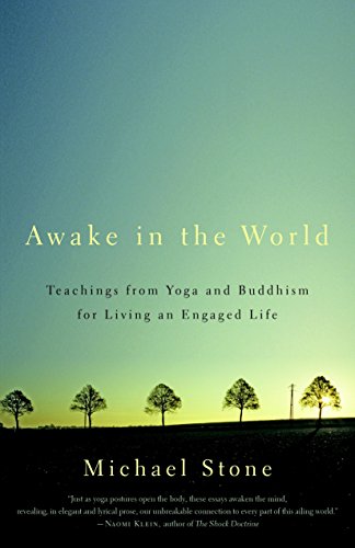 9781590308141: Awake in the World: Teachings from Yoga and Buddhism for Living an Engaged Life