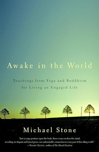 9781590308141: Awake in the World: Teachings from Yoga and Buddhism for Living an Engaged Life