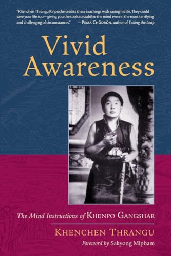 Beispielbild fr Vivid Awareness: The Mind Instructions of Khenpo Gangshar zum Verkauf von Monster Bookshop