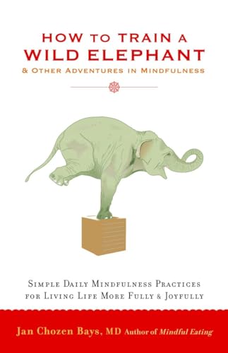 Imagen de archivo de How to Train a Wild Elephant: And Other Adventures in Mindfulness a la venta por Decluttr