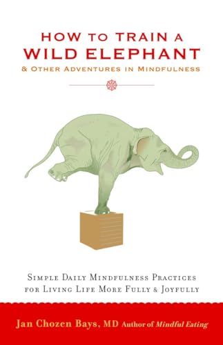 How to Train a Wild Elephant: And Other Adventures in Mindfulness