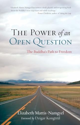 Imagen de archivo de The Power of an Open Question: The Buddha's Path to Freedom a la venta por Arroway Books