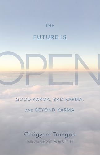 Stock image for The Future Is Open: Good Karma, Bad Karma, and Beyond Karma for sale by HPB-Blue