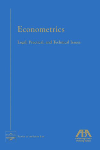 Stock image for Econometrics: Legal, Practical and Technical Issues for sale by More Than Words