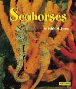 Seahorses (9781590340349) by James, Sylvia M.