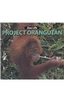 9781590360170: Project Orangutan (Zoo Life)