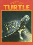 Stock image for Caring for Your Turtle for sale by Better World Books: West