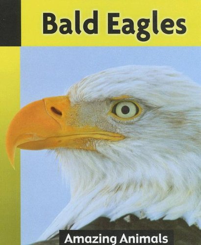 Beispielbild fr Bald Eagles zum Verkauf von Better World Books