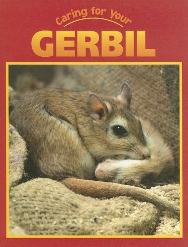 Caring for Your Gerbil