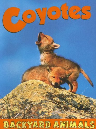 Coyotes (Backyard Animals) (9781590366745) by Webster, Christine