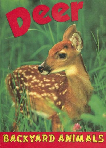 Deer (Backyard Animals) (9781590366752) by Webster, Christine
