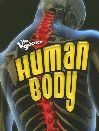 Beispielbild fr Human Body zum Verkauf von Better World Books