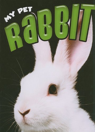 9781590369098: Rabbit