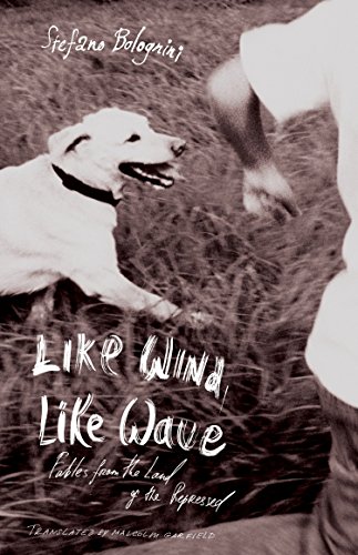 Beispielbild fr Like Wind, Like Wave zum Verkauf von Wonder Book